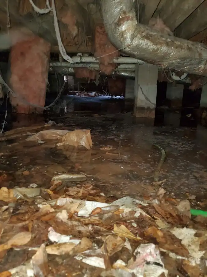 Crawl space flood assessment for Commercial Water Damage Restoration in Bexley