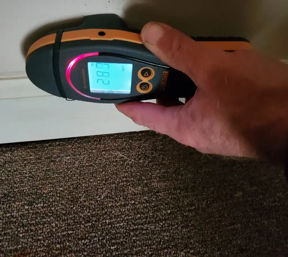 Moisture detection at baseboard during Burst Pipe Cleanup in Bexley
